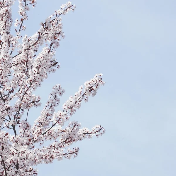 贝博体育棋牌游戏